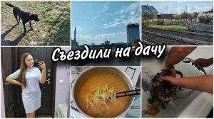 Дача осеньюЗабрали нашу Джесси домойВкусный супчик. Про кератиновое выпрямление ♀️