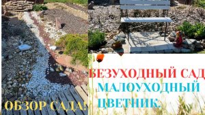 МАЛОУХОДНЫЙ САД ОБЗОР / ПОМЫЛИ ТЕПЛИЦУ / ПРОФИЛАКТИКА И ЛЕЧЕНИЕ ХЛОРОЗА ГОРТЕНЗИЙ