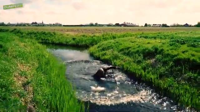 the main thing to believe! | главное верить! смотреть онлайн