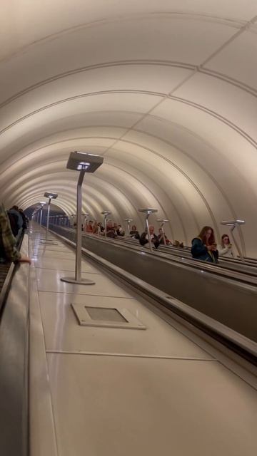 💪🏻 #motivator ✌🏼14.08.24 #москва м. Марьина роща #жиза #цитатысосмыслом смотреть онлайн