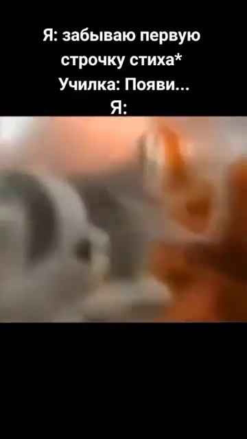 появился Значит в зоне черный 7383 сталкер#мем смотреть онлайн