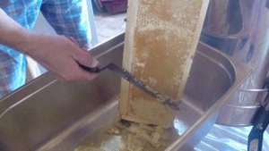 Качаем первый летний мёд 🍯, а какой запах🎉🔥👍