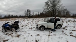 Мой новый участок ! Я расстроился ... ХУТОР В ЛЕСУ №663