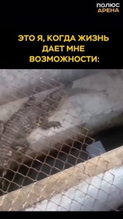 Когда жизнь дает тебе возможности, не забывай ими пользоваться!