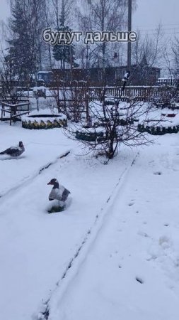Весенний сюрприз от природы. Чистим апрельский снег в Вологодской области и готовимся к дачному сез