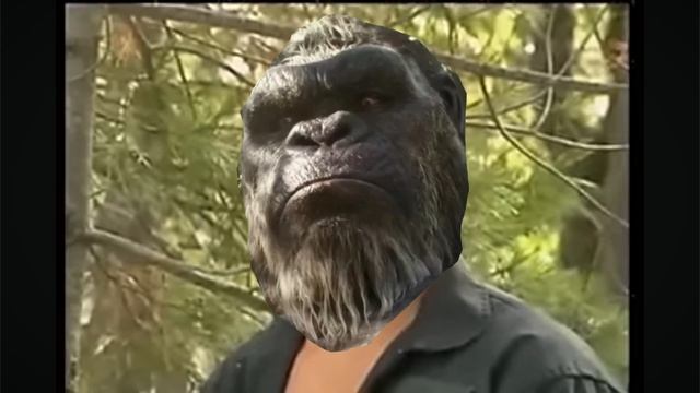 Годзилла и Конг 3 АНОНСИРОВАН смотреть онлайн