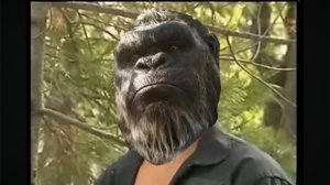 Годзилла и Конг 3 АНОНСИРОВАН