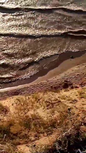 с. Ягодное Самарская об #тольятти #одых смотреть онлайн