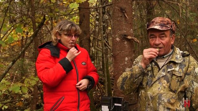 Безопасные ловушки. смотреть онлайн