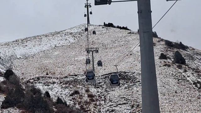 Амирсой 26.окт.2022 смотреть онлайн