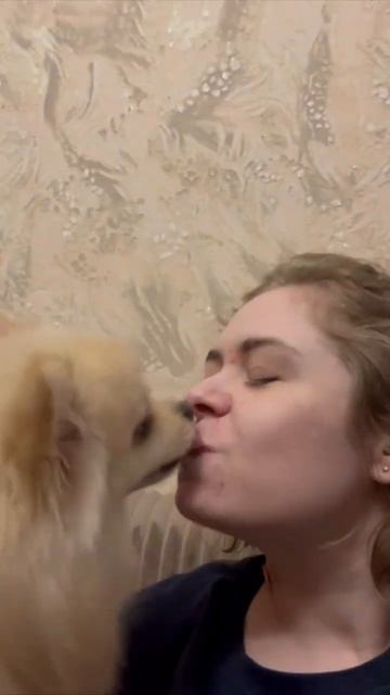 #собака #шпиц #померанскийщпиц #поцелуй #краснодар #ухта смотреть онлайн