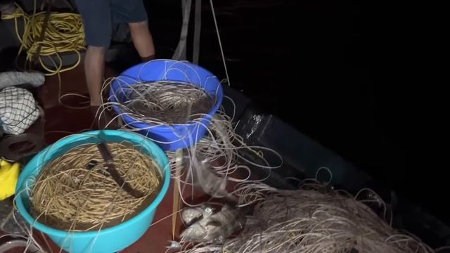 खांदा नम्बर ४ ला आलेली हेक्रू माश्यांची जोडी आणि मोठी किळशि Waam #fish | Navi Mumbai Fishing смотреть онлайн