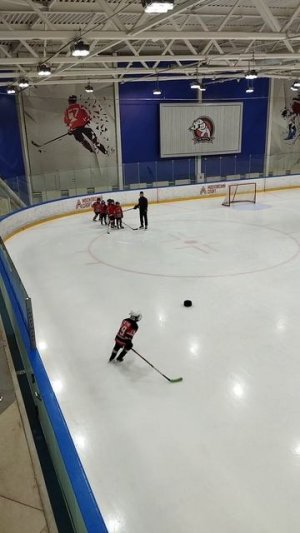 хоккей