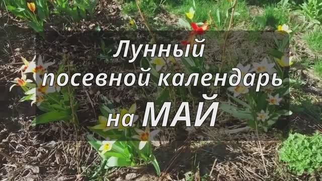 🌙 ЛУННЫЙ ПОСЕВНОЙ КАЛЕНДАРЬ НА МАЙ 2025🌙