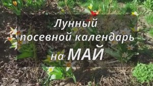 🌙 ЛУННЫЙ ПОСЕВНОЙ КАЛЕНДАРЬ НА МАЙ 2025🌙