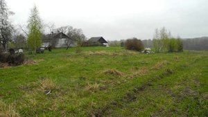 Пасека в деревне