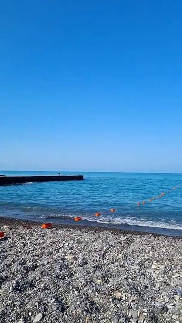 утро на море #купитьдомуморя #сочи Сочи #сочифорния #мамайка смотреть онлайн