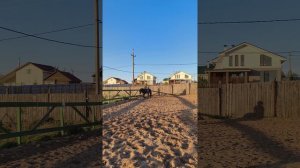 Даша и Аквилон, проезд схемы обязательная программа №2 (ОСФ) тест А, на плацу, на закате.