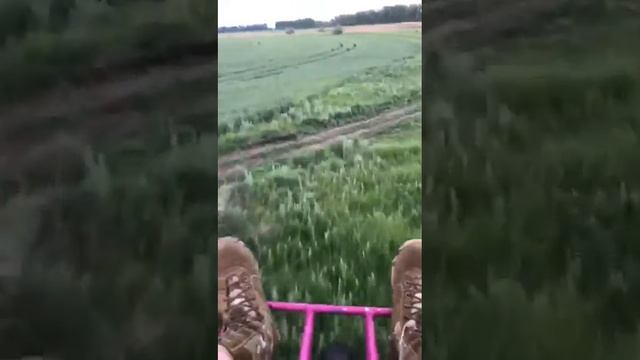Проход на бреющем :