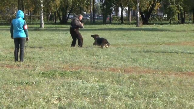 049 Бавария Фом Катерина Стольц. фактор смотреть онлайн