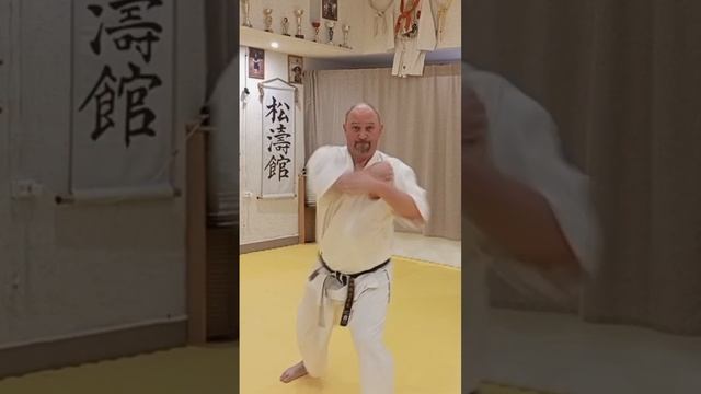 Каратэ. Ката Чинто Ганкаку шо. К. Б. И. ИКИГАЙ Самара