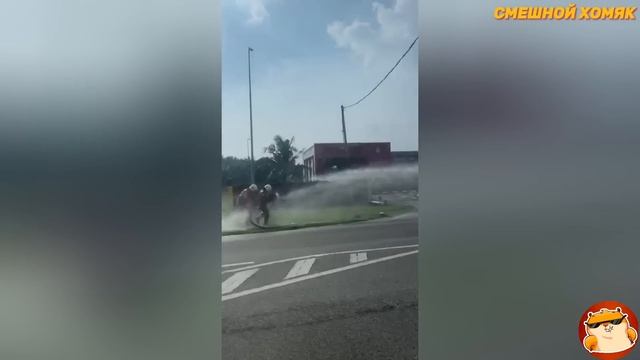 Я РЖАЛ ДО СЛЕЗ 😂 20 Минут ОТБОРНЫХ Русских приколов 2024 Смешные видео - ЛУЧШИЕ ПРИКОЛЫ! 😂 смотреть онлайн