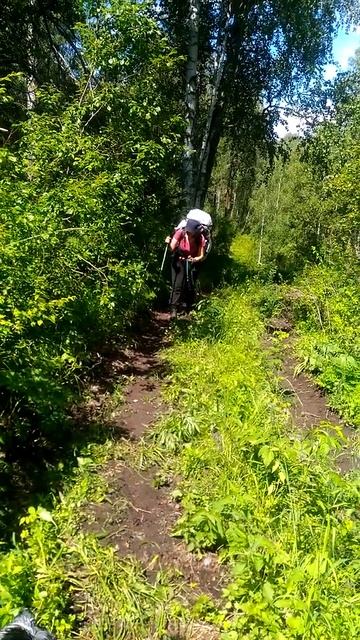 Алтай Белуха подъем в перевал Кузуяк#shorts смотреть онлайн