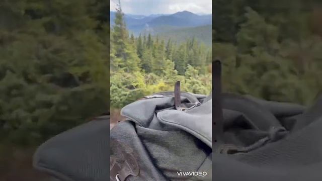 Сходження на Говерлу ( 11.06.2021р). Говерла. смотреть онлайн