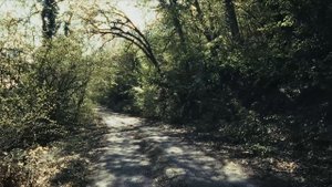 Прогулка по Солнечной Тропе
#Крым