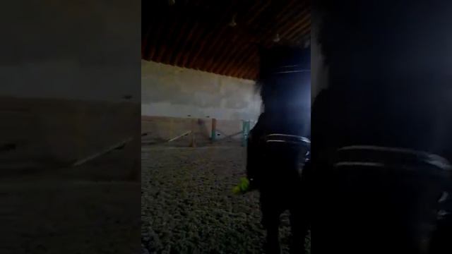 Я и терновый (порода! "Рысак") смотреть онлайн