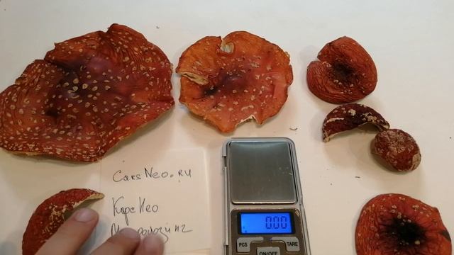 ВЕС ШЛЯПОК - Сколько весит шляпка красного мухомора. Вес сушеных шляпок мухоморов для микродозинга. смотреть онлайн