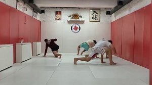 Animal Flow в бойцовской школе Макса Дедика Острые кулаки #animalflow