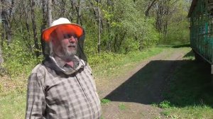 300 СЕМЕЙ ПЕРЕД ПРОДАЖЕЙ / ПЧЕЛОВОДСТВО В УЛЬЯХ / 1 ЧАСТЬ.