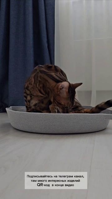 Лежанка из шнура для котика @shnur_by_viktoriya_korotkova