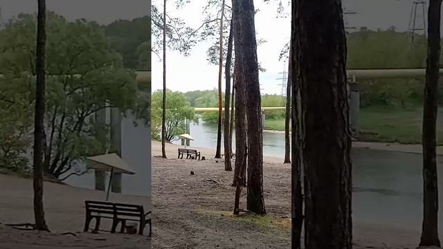 Прихватизация земли у водоёма. Суворовский пляж Солянка .г.КУРСК