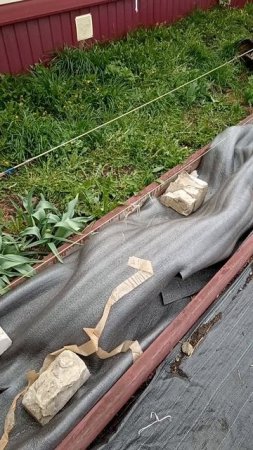 Спасаем виноград