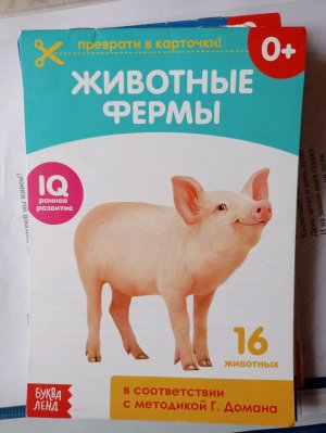 Болталка про занятия с детьми