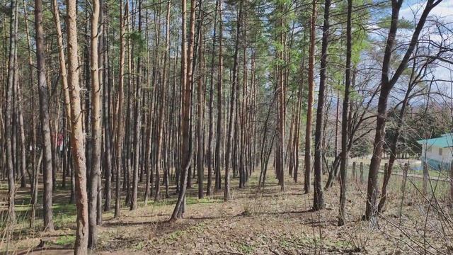 санаторий радуга 2 смотреть онлайн