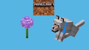 огрызок,тряпка,платок    combo! огрызок тряпка платок                 хапъу