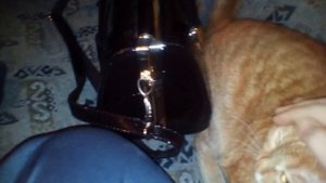 Первое видео кипира и Кирила