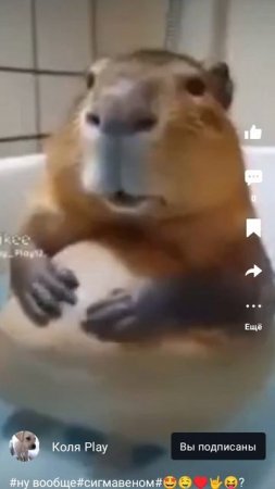 1000006374.mp4
