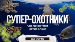 Супер-охотники: аквариумные рыбки, растения, амфибии, черепахи