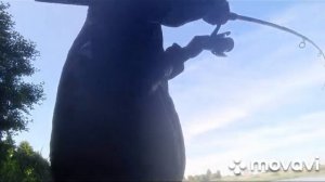 Рыбалка на диком пруду на Озерках в тульской области веневский район