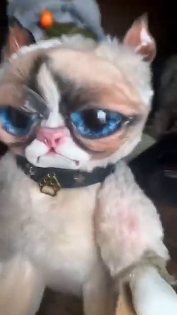 Ох уж эти глаза! 👀 смотреть онлайн