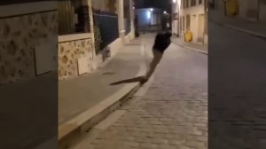 Маршрут построен😂 Прикольное видео