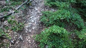 Крым. Подъем на гору Сокол из Нового света.