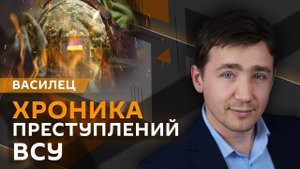 Дмитрий Василец. Санкции РФ против Британии и преступления ВСУ