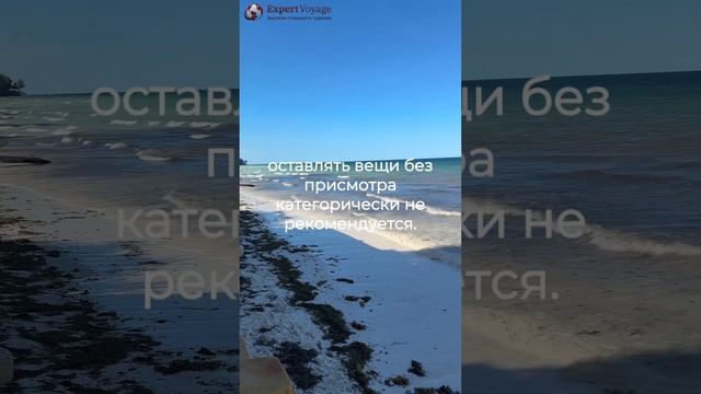 "Отдых на Пляже Диани в Кении: Рай на Земле!"#ПляжДиани #Кения #ОтдыхНаМоре #Путешествие #Курорт