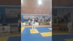 Каратэ Киокушенкай