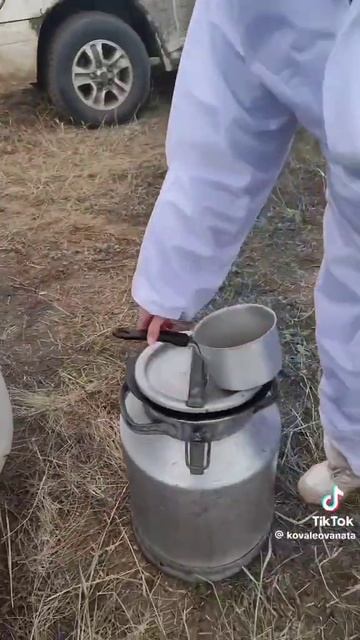 Казахстанские таджики угостили пловом. #паводки #казахстан #2024 смотреть онлайн